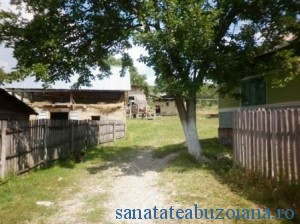 Casa "doctorului" potcovar 