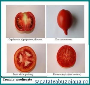 tomate 1