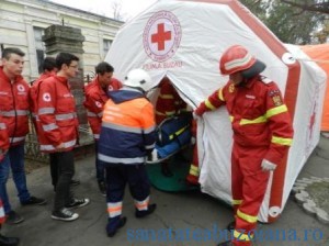cort cutremur 35
