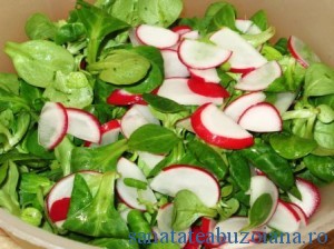 ridichi salata