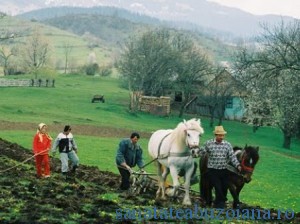 AGRICULTURA - ECONOMIE