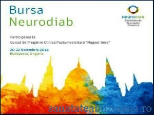 bursa neurodiab