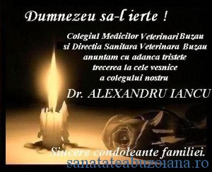 Ferpar dr. Iancu