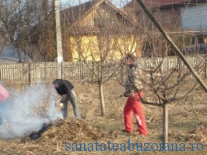 curatenie de primavara-gradinari-maracineni-721