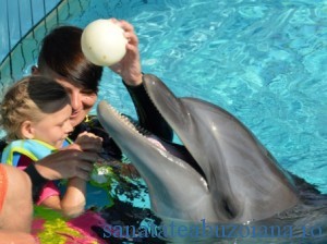 terapie delfin
