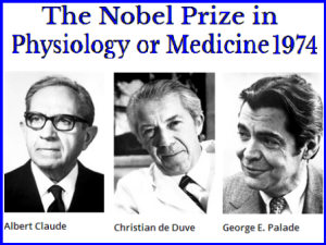Palade-Nobel 1974