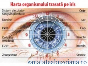 harta ochiului