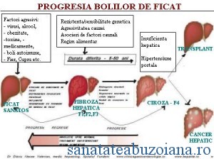 progresia-bolior-de-ficat