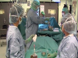 operatie transplant celule