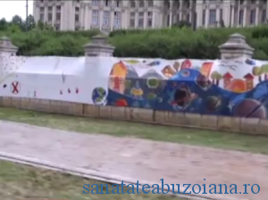 meje zidul palatului parlamentului