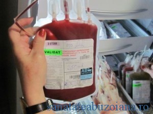 transfuzii2