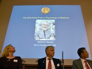 Premiul Nobel pentru Medicina si Fiziologie 2016